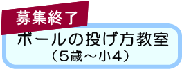 ボールの投げ方教室