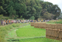 2019あつぎウォークコース図